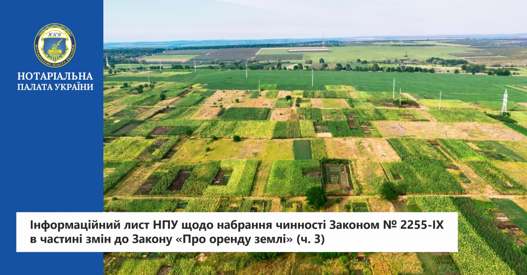 Нотаріальна палата України